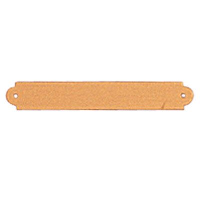 2-1/2  x 3/8 Inch Gold Plate with Notched Corners